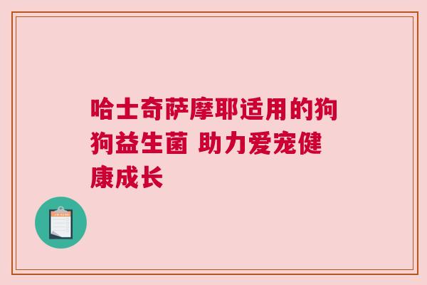 哈士奇萨摩耶适用的狗狗益生菌 助力爱宠健康成长