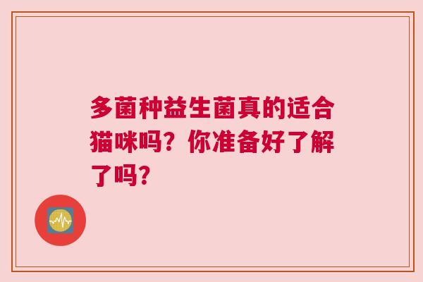多菌种益生菌真的适合猫咪吗？你准备好了解了吗？