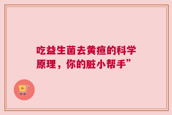 吃益生菌去黄疸的科学原理，你的脏小帮手”