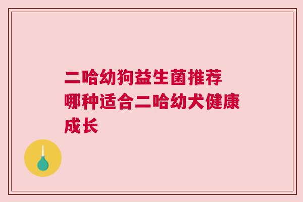 二哈幼狗益生菌推荐 哪种适合二哈幼犬健康成长