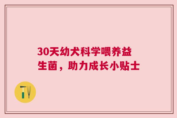 30天幼犬科学喂养益生菌，助力成长小贴士