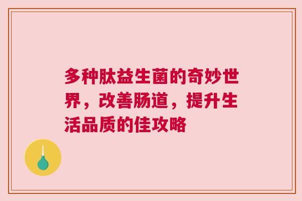 多种肽益生菌的奇妙世界，改善肠道，提升生活品质的佳攻略