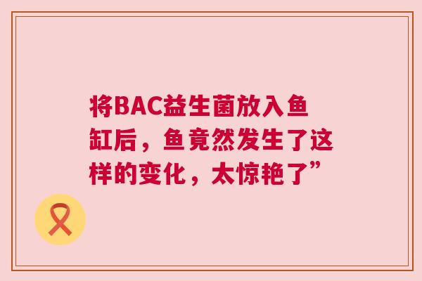 将BAC益生菌放入鱼缸后，鱼竟然发生了这样的变化，太惊艳了”