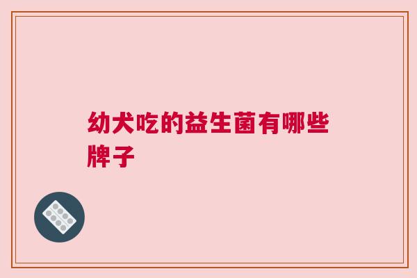 幼犬吃的益生菌有哪些牌子
