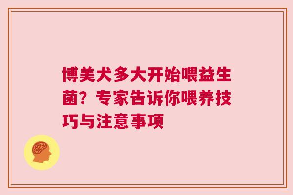 博美犬多大开始喂益生菌？专家告诉你喂养技巧与注意事项