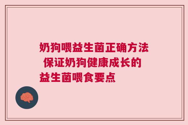 奶狗喂益生菌正确方法 保证奶狗健康成长的益生菌喂食要点