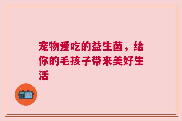 宠物爱吃的益生菌，给你的毛孩子带来美好生活