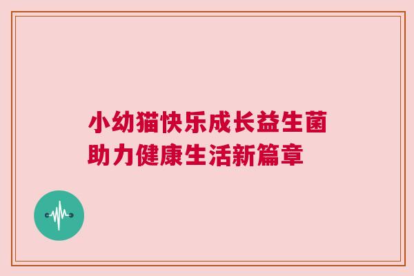 小幼猫快乐成长益生菌助力健康生活新篇章
