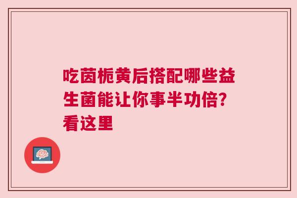 吃茵栀黄后搭配哪些益生菌能让你事半功倍？看这里