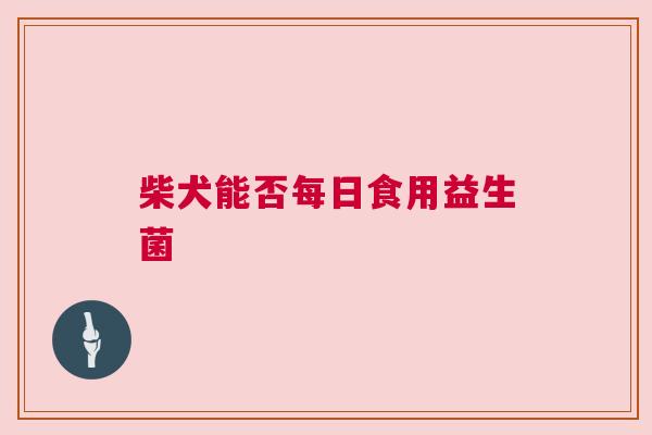 柴犬能否每日食用益生菌
