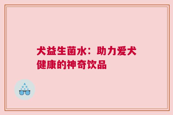 犬益生菌水：助力爱犬健康的神奇饮品