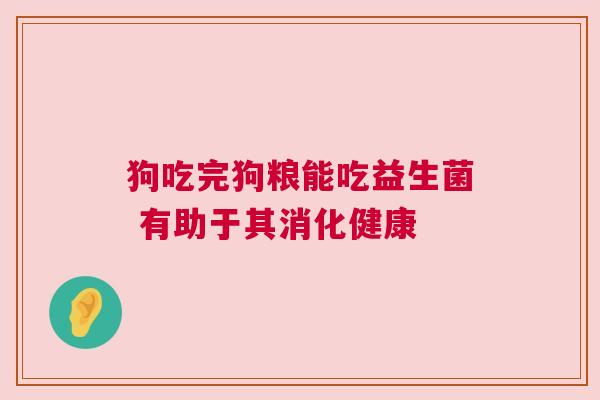 狗吃完狗粮能吃益生菌 有助于其消化健康