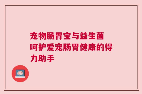 宠物肠胃宝与益生菌 呵护爱宠肠胃健康的得力助手