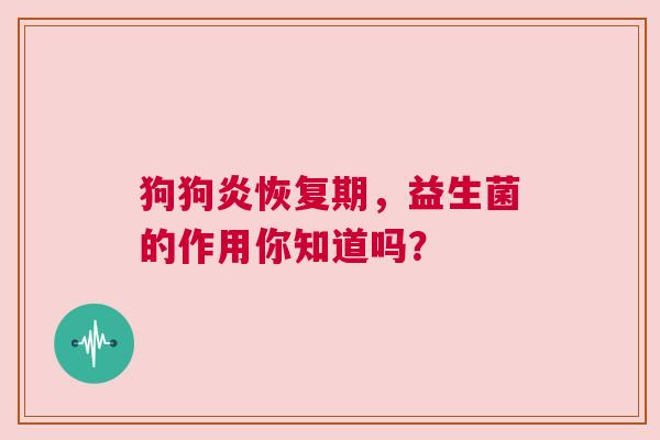 狗狗炎恢复期，益生菌的作用你知道吗？