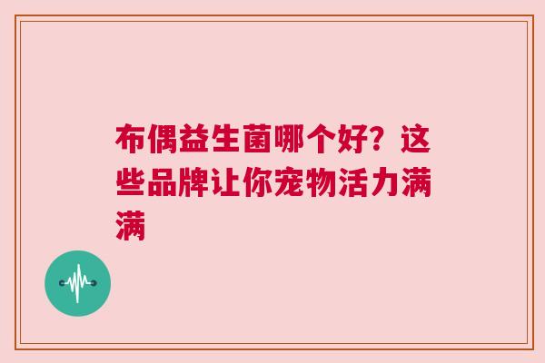 布偶益生菌哪个好？这些品牌让你宠物活力满满