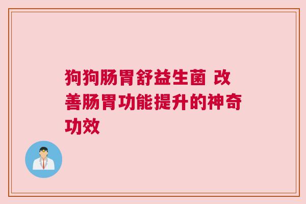 狗狗肠胃舒益生菌 改善肠胃功能提升的神奇功效
