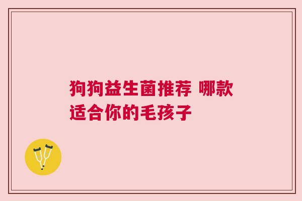 狗狗益生菌推荐 哪款适合你的毛孩子