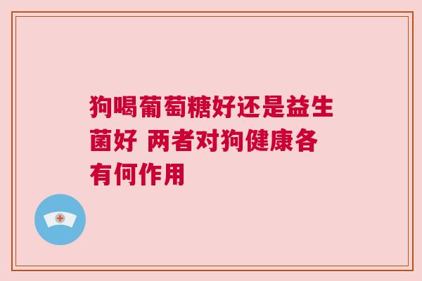 狗喝葡萄糖好还是益生菌好 两者对狗健康各有何作用