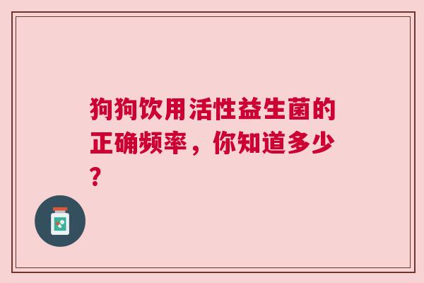 狗狗饮用活性益生菌的正确频率，你知道多少？