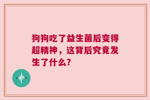 狗狗吃了益生菌后变得超精神，这背后究竟发生了什么？