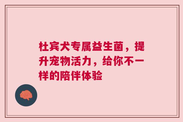 杜宾犬专属益生菌，提升宠物活力，给你不一样的陪伴体验