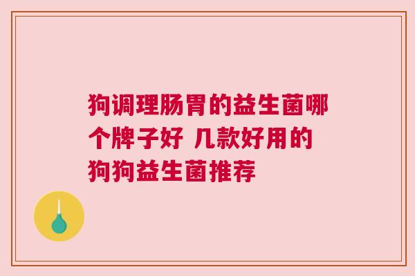 狗调理肠胃的益生菌哪个牌子好 几款好用的狗狗益生菌推荐