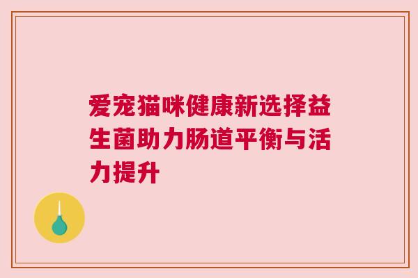 爱宠猫咪健康新选择益生菌助力肠道平衡与活力提升