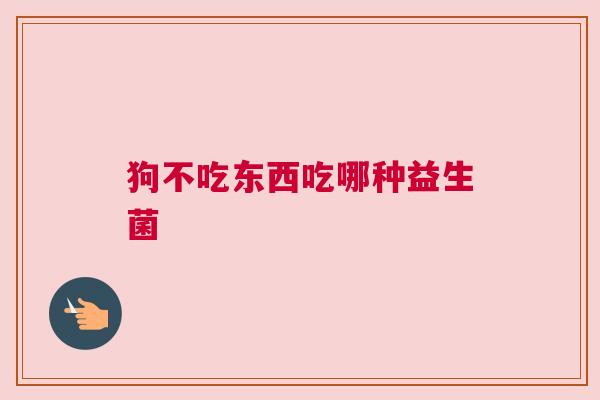 狗不吃东西吃哪种益生菌