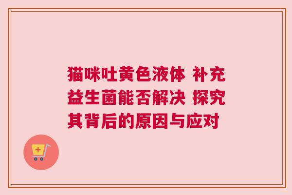 猫咪吐黄色液体 补充益生菌能否解决 探究其背后的原因与应对