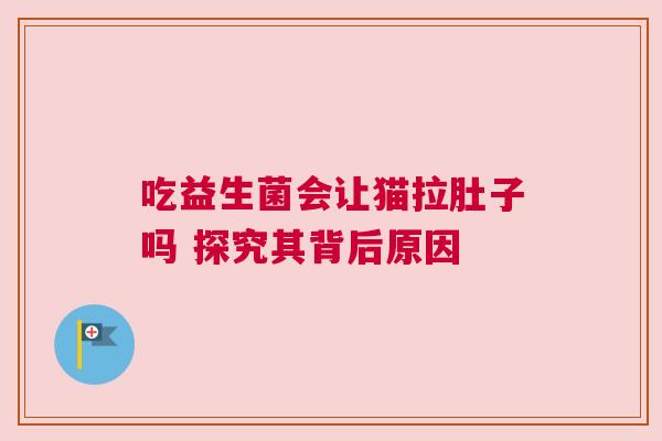 吃益生菌会让猫拉肚子吗 探究其背后原因