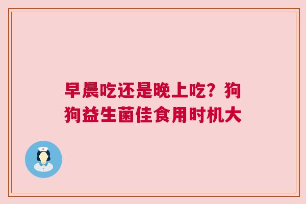 早晨吃还是晚上吃？狗狗益生菌佳食用时机大