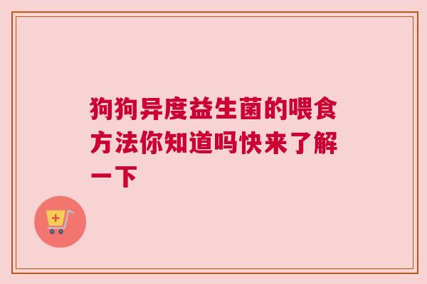 狗狗异度益生菌的喂食方法你知道吗快来了解一下