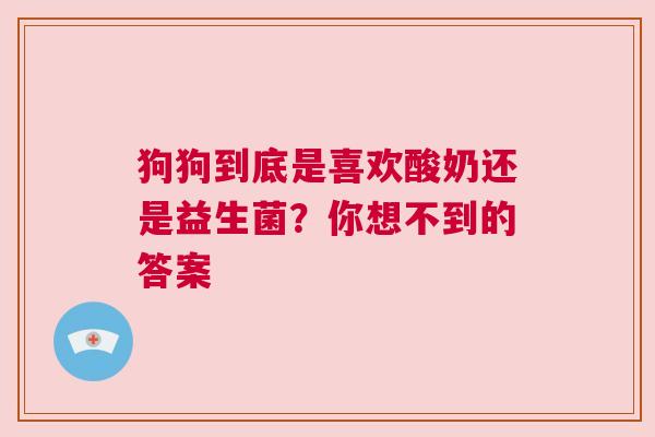 狗狗到底是喜欢酸奶还是益生菌？你想不到的答案