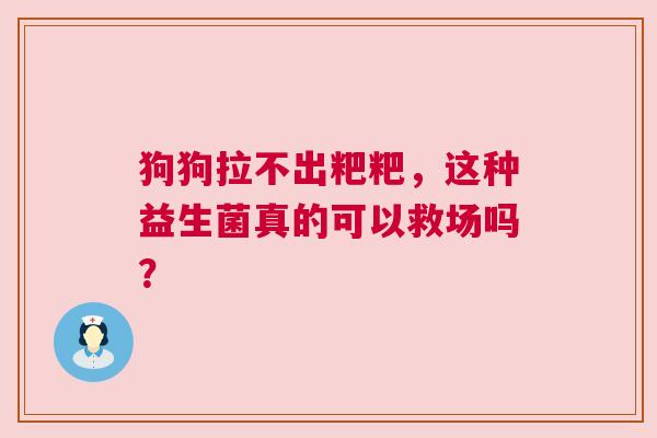 狗狗拉不出粑粑，这种益生菌真的可以救场吗？