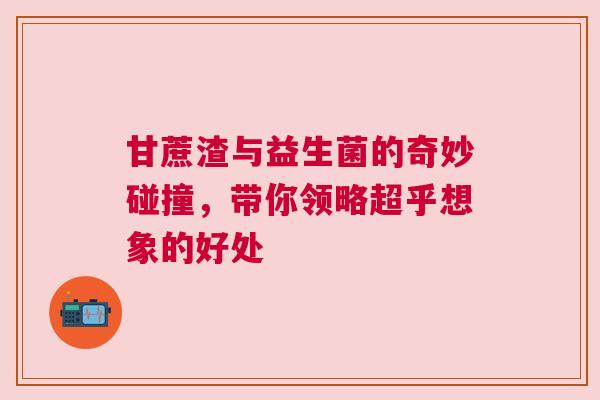 甘蔗渣与益生菌的奇妙碰撞，带你领略超乎想象的好处