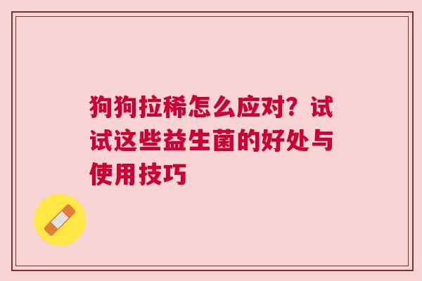 狗狗拉稀怎么应对？试试这些益生菌的好处与使用技巧