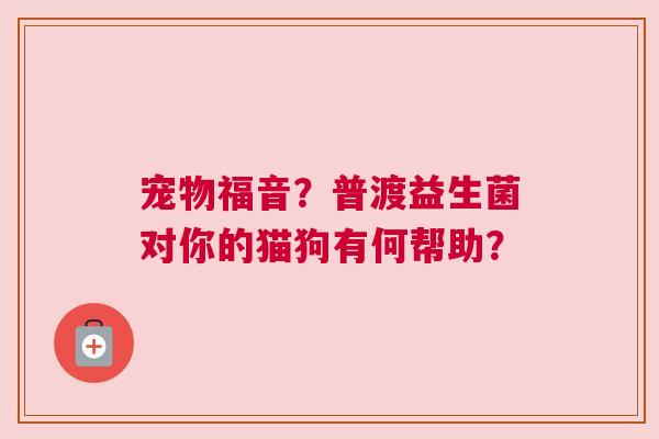 宠物福音？普渡益生菌对你的猫狗有何帮助？