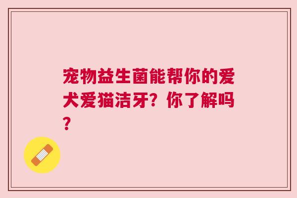 宠物益生菌能帮你的爱犬爱猫洁牙？你了解吗？