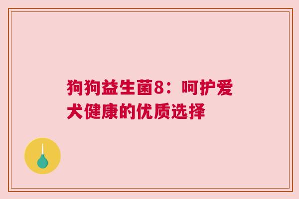 狗狗益生菌8：呵护爱犬健康的优质选择