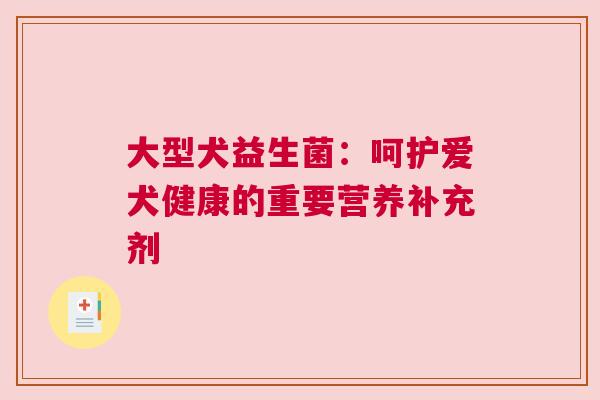 大型犬益生菌：呵护爱犬健康的重要营养补充剂