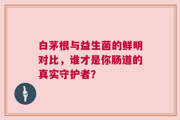 白茅根与益生菌的鲜明对比，谁才是你肠道的真实守护者？