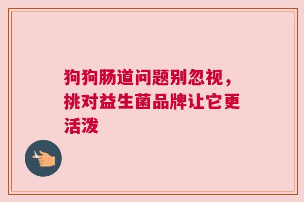 狗狗肠道问题别忽视，挑对益生菌品牌让它更活泼