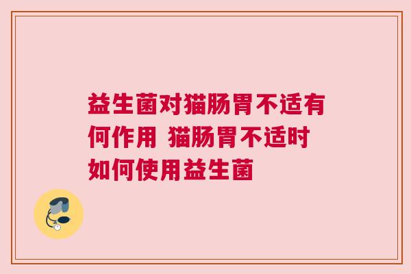益生菌对猫肠胃不适有何作用 猫肠胃不适时如何使用益生菌