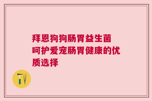 拜恩狗狗肠胃益生菌 呵护爱宠肠胃健康的优质选择