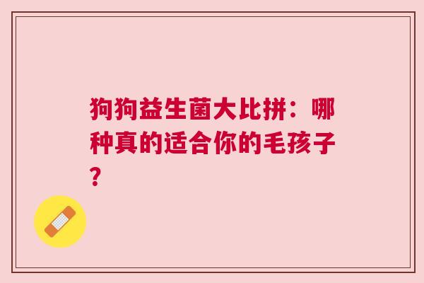 狗狗益生菌大比拼：哪种真的适合你的毛孩子？