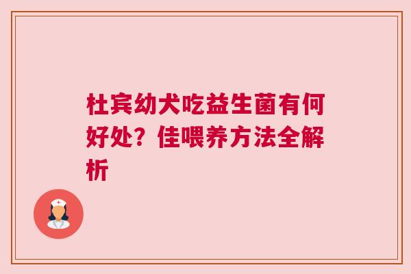 杜宾幼犬吃益生菌有何好处？佳喂养方法全解析