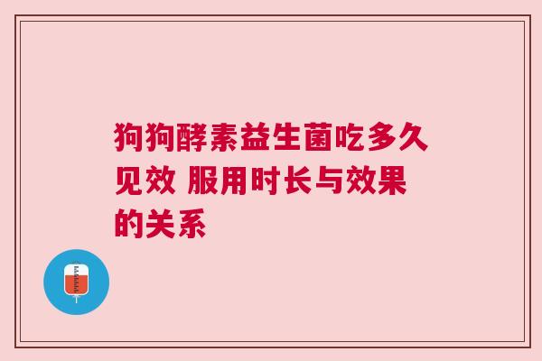 狗狗酵素益生菌吃多久见效 服用时长与效果的关系