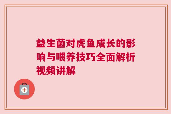 益生菌对虎鱼成长的影响与喂养技巧全面解析视频讲解