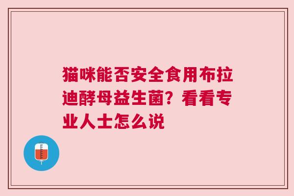 猫咪能否安全食用布拉迪酵母益生菌？看看专业人士怎么说