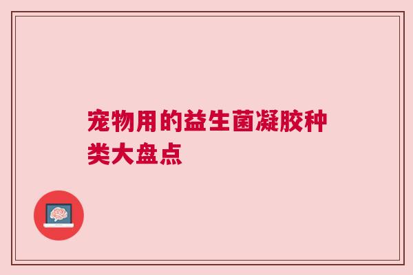 宠物用的益生菌凝胶种类大盘点